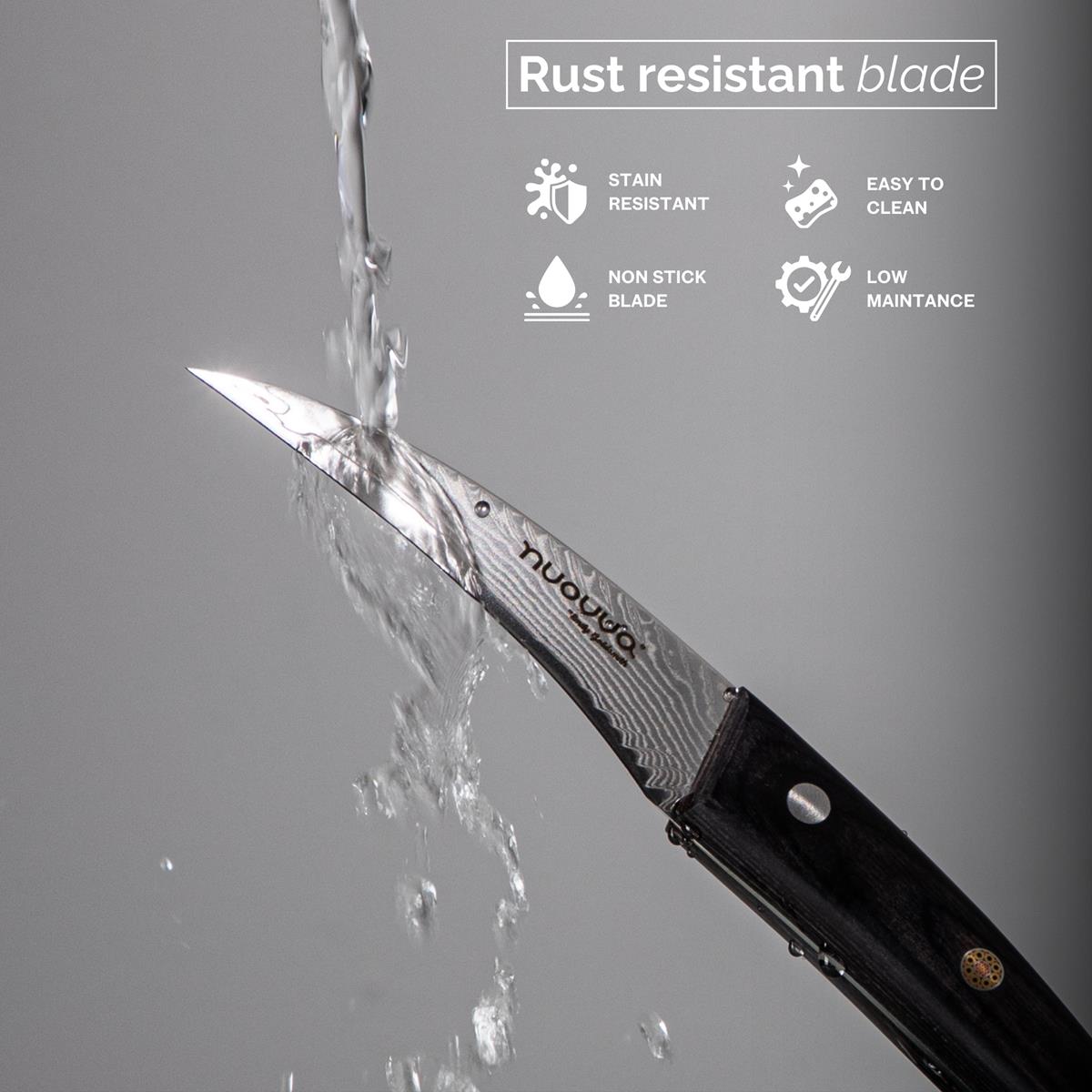 Nuovva Damascus steel paring knife with rust & stain resistant blades - easy to clean with no maintenance.