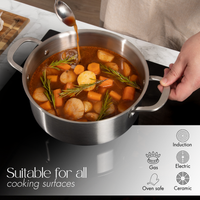 Stainless steel pot suitable for various cooking surfaces including induction and oven.