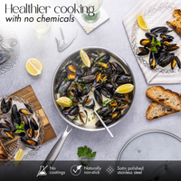 28cm Induction Hob Non Stick Saucepan – Saute Pan with Lid