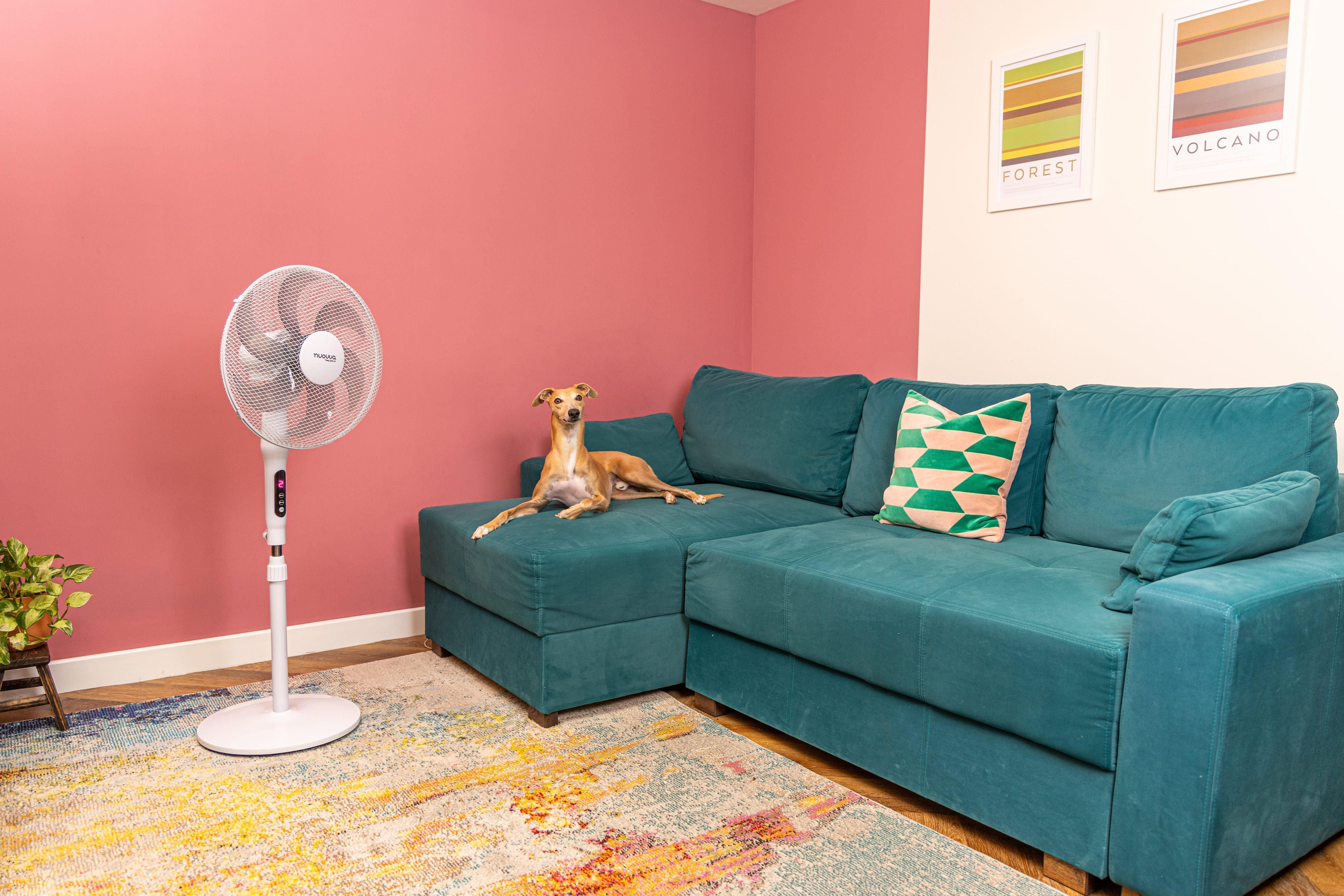 Pedestal Fan User Manual