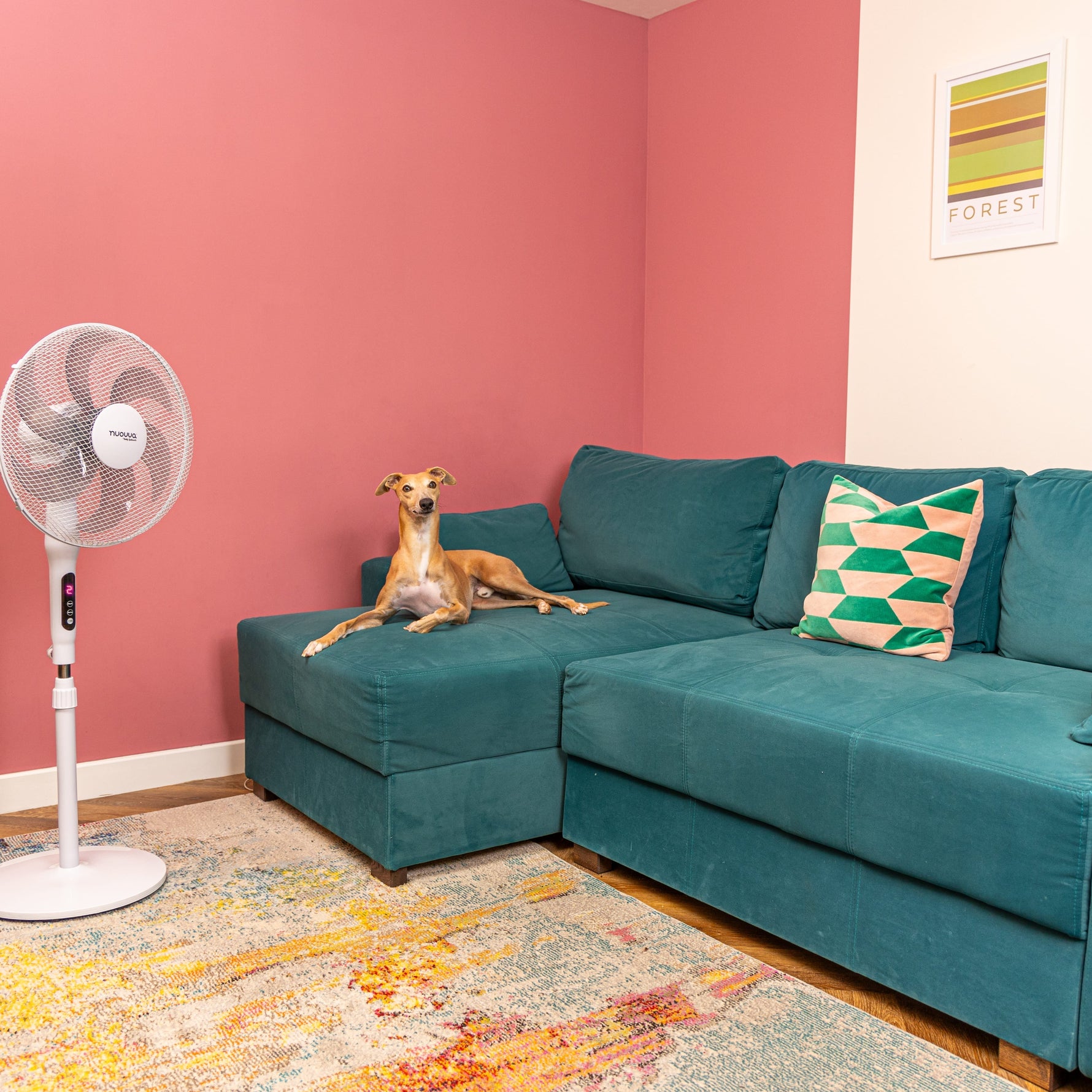 Pedestal Fan User Manual