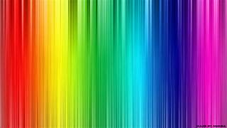 Multicolour Collection - Black Friday