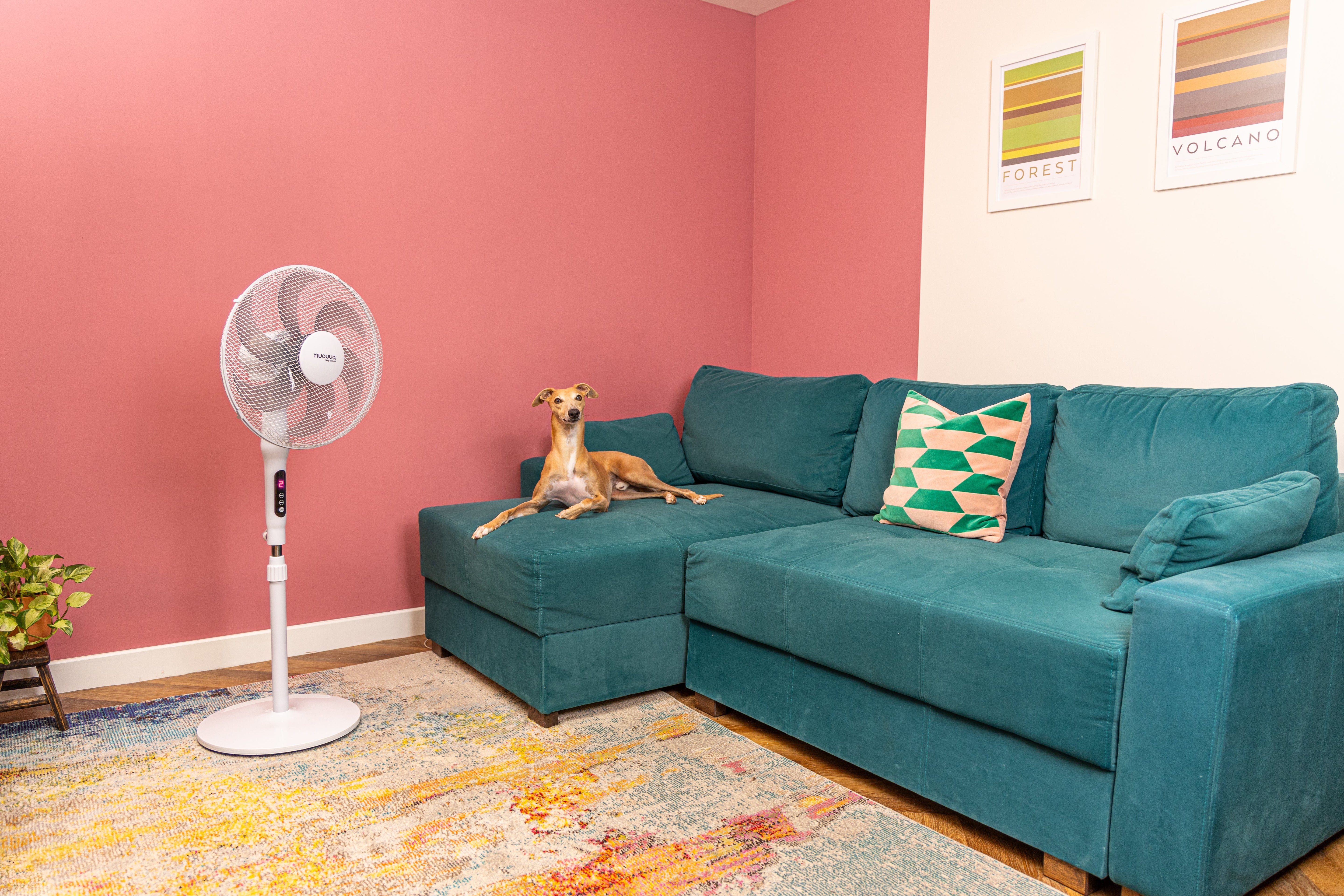 Cooling Fans & Air Conditioners