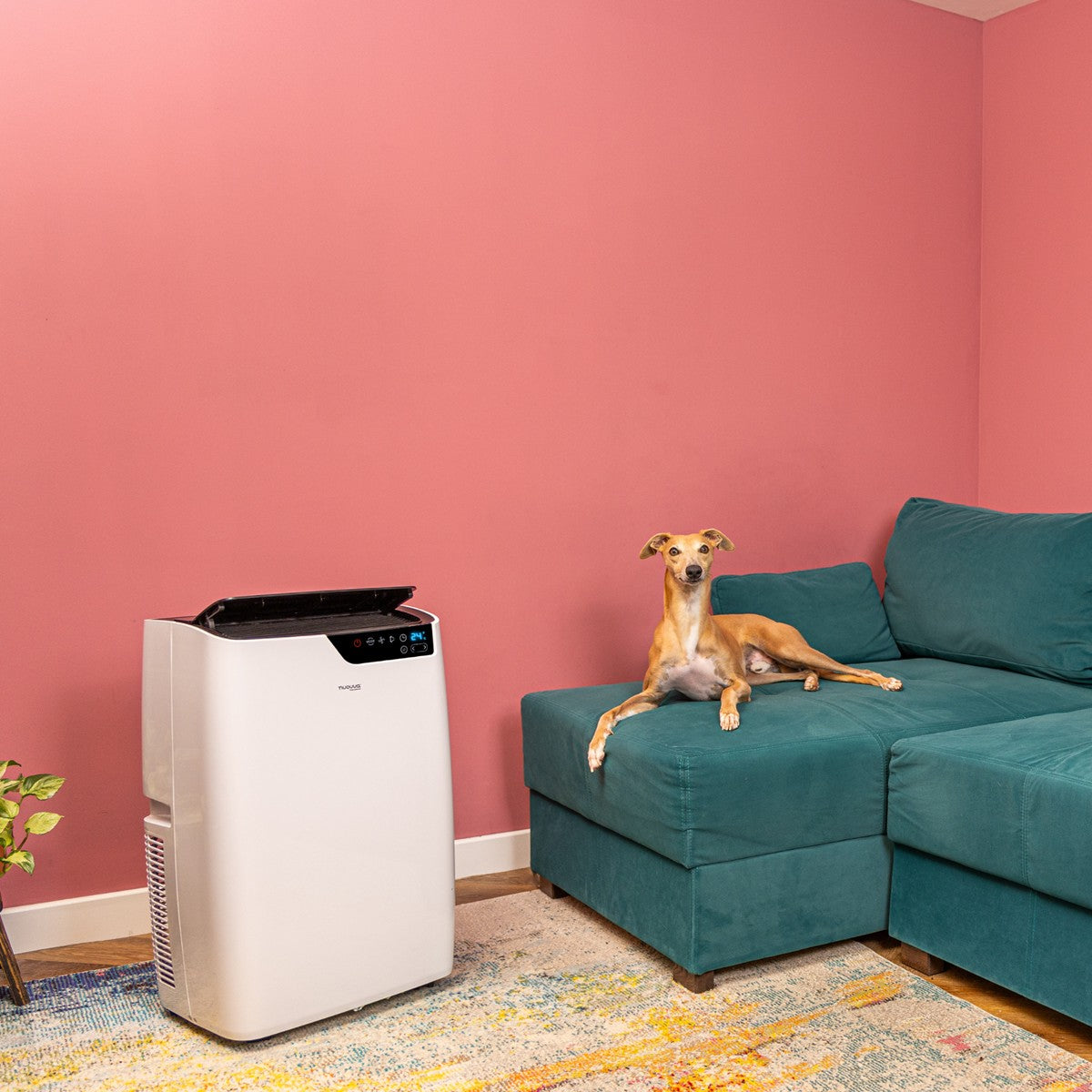 Energy-Efficient Portable Air Conditioner - 12000 BTU