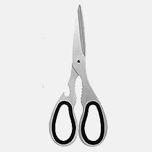 Sharp Kitchen Scissors